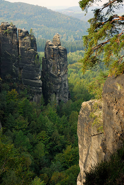 istock sandstone rock in german national park 181890836