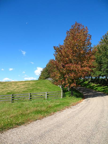 istock Country Autumn Lane 181891018