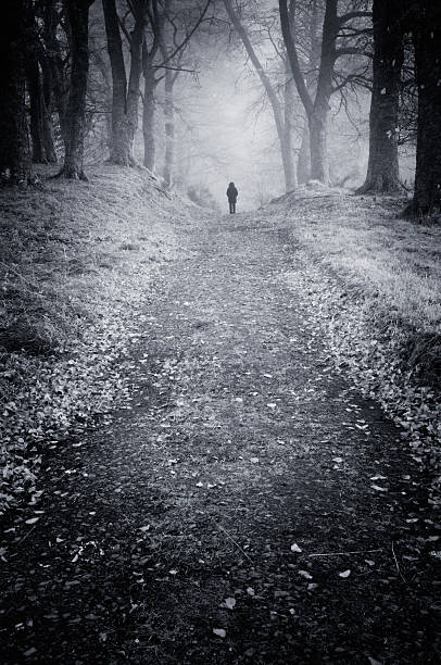 istock Figure standing in misty woods 181891604