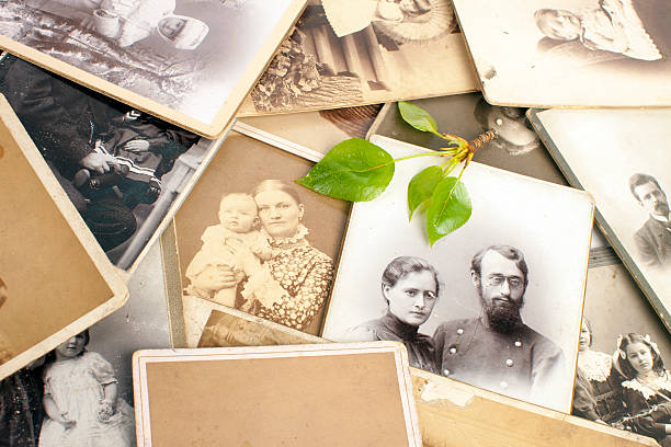 istock Fresh, green twig on old photographs. 181891944