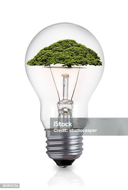 Foto de Conceito De Ecologia e mais fotos de stock de Branco - Branco, Crescimento, Eletricidade