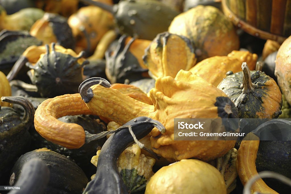 Autum vegies - Foto stock royalty-free di Autunno