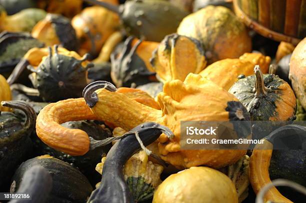 Autum Vegies - Fotografie stock e altre immagini di Autunno - Autunno, Cibi e bevande, Composizione orizzontale