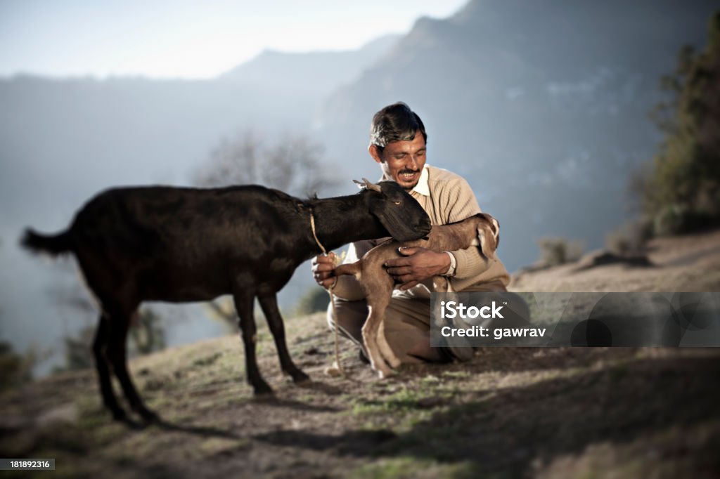 Menschen aus den ländlichen Indien: Glücklicher Mann mit Ziegen - Lizenzfrei Indien Stock-Foto