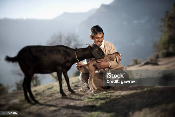 Menschen Aus Den Ländlichen Indien Glücklicher Mann Mit Ziegen Stockfoto und mehr Bilder von Indien