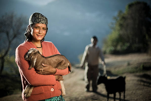 prawdziwy ludzie z obszarów wiejskich, indie: szczęśliwa kobieta gospodarstwa koza kid - india mountain child people zdjęcia i obrazy z banku zdjęć