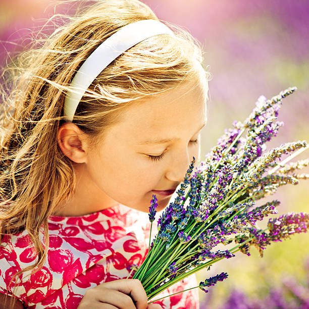 istock In the field of lavender 181892548