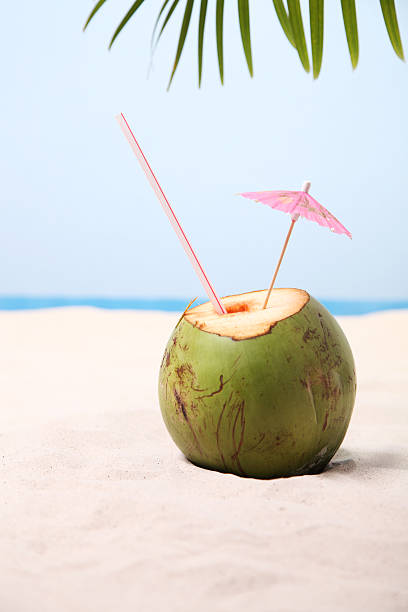 코코넛 모래 - beach sand drink drink umbrella 뉴스 사진 이미지