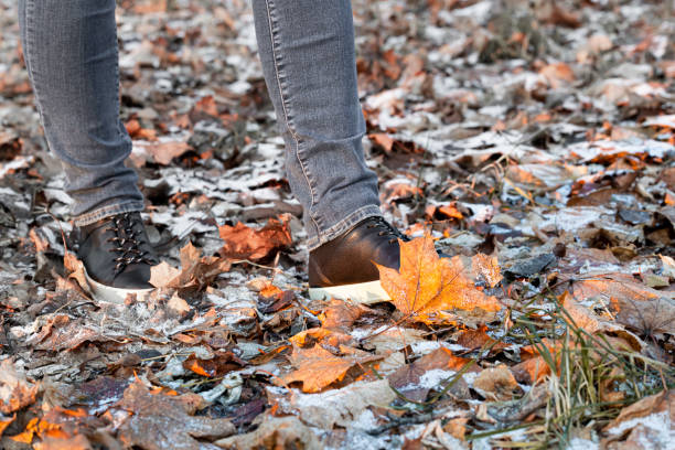 a man walks through the autumn leaves covered with snow. walk through the forest in late autumn. autumn leaf stuck to shoe.