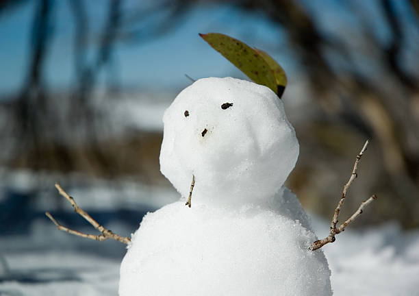 Little Boneco de neve - fotografia de stock