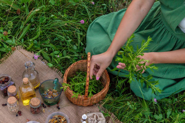 istock A woman makes herbal tincture. Selective focus. 1818938049
