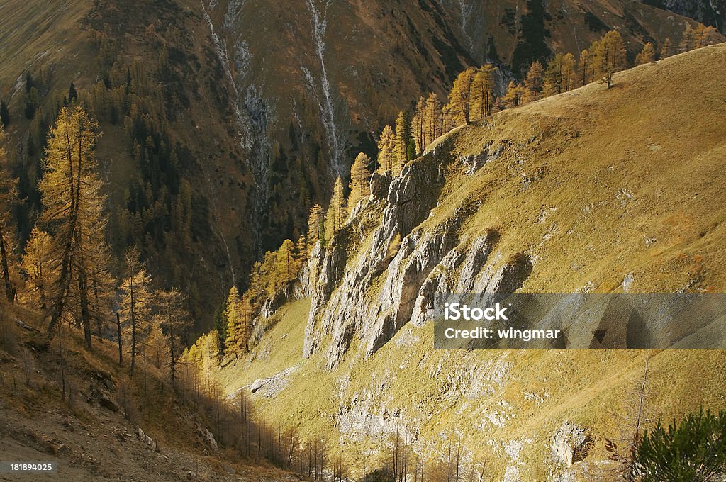 austrian outono - Foto de stock de Alpes europeus royalty-free