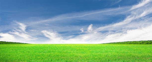 istock Wide summer landscape with meadow and scenic sky 1818940269