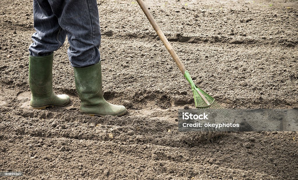 Homem usando um ângulo - Foto de stock de Afazeres Domésticos royalty-free