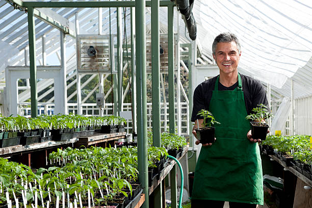 istock happy greenhouse gardener 181894396