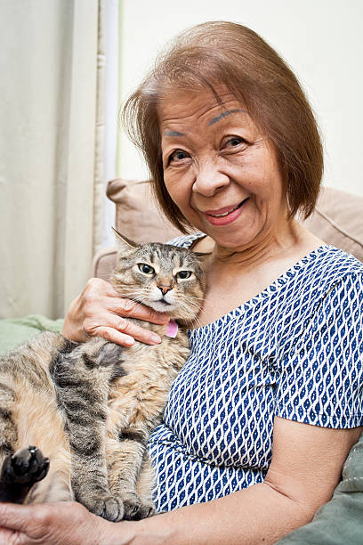 istock Cat and Elderly Woman 181894428