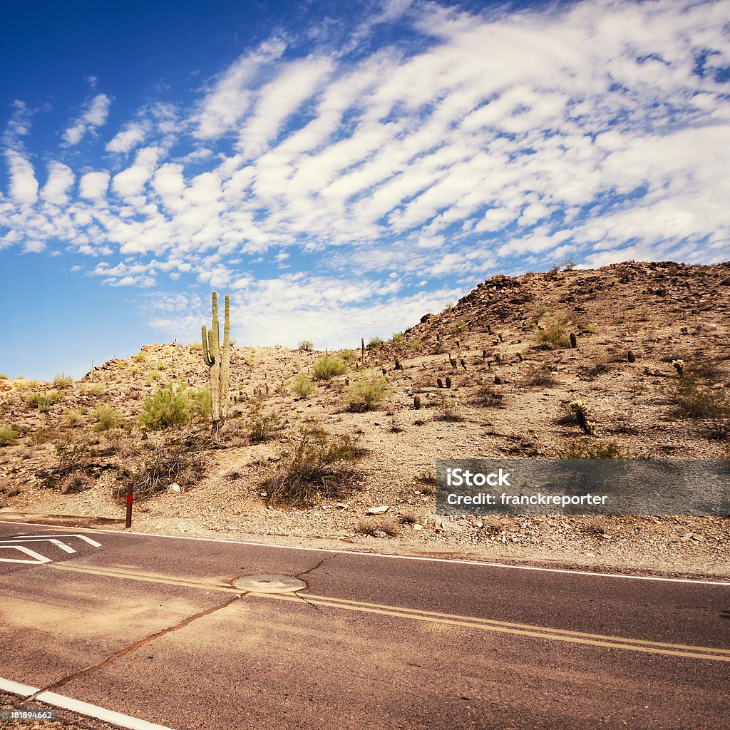 Parque Nacional Saguaro vista a phoenix - Foto de stock de Arizona libre de derechos