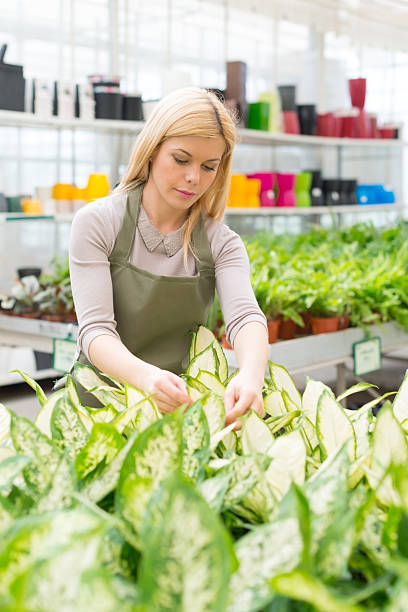 istock Young smiling florist working in greenhouse 181894762
