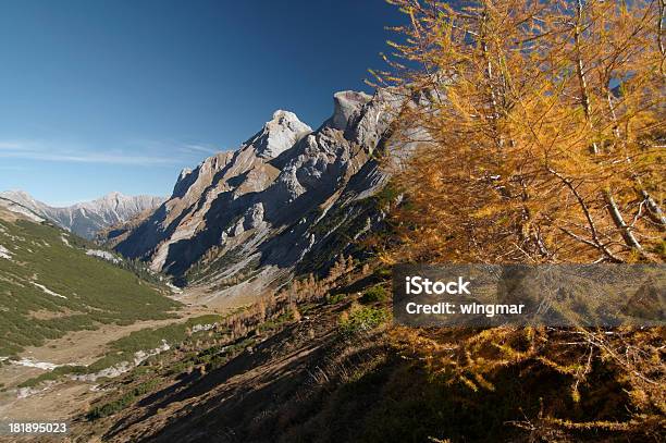 Foto de Austrian Outono e mais fotos de stock de Alpes europeus - Alpes europeus, Amarelo, Arbusto