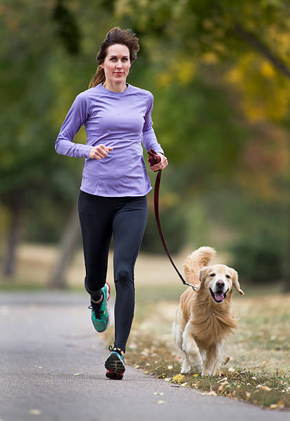 istock Golden Retriever and Woman Jogging on a Paved Path. 181895129
