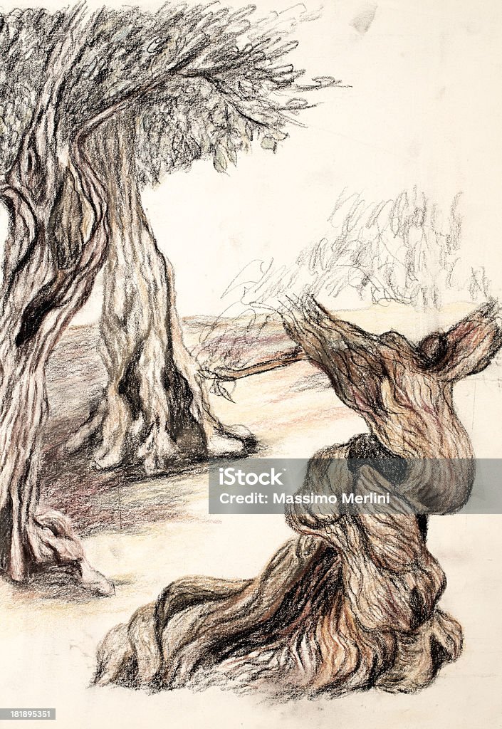 Оливковые деревьев - Стоковые иллюстрации Оливковое дерево роялти-фри
