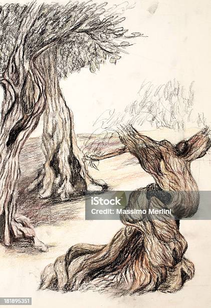 Оливковые Деревьев — стоковая векторная графика и другие изображения на тему Оливковое дерево - Оливковое дерево, Редкий лес, Без людей