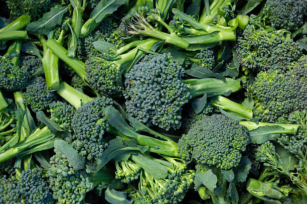 istock Harvested Broccoli in Shipping Container 181895616