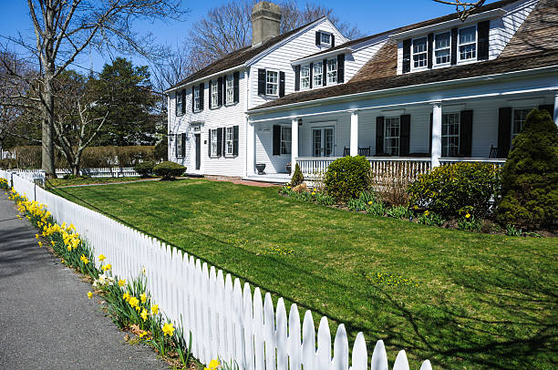 costa cape cod country inn - daffodil spring flower new england imagens e fotografias de stock