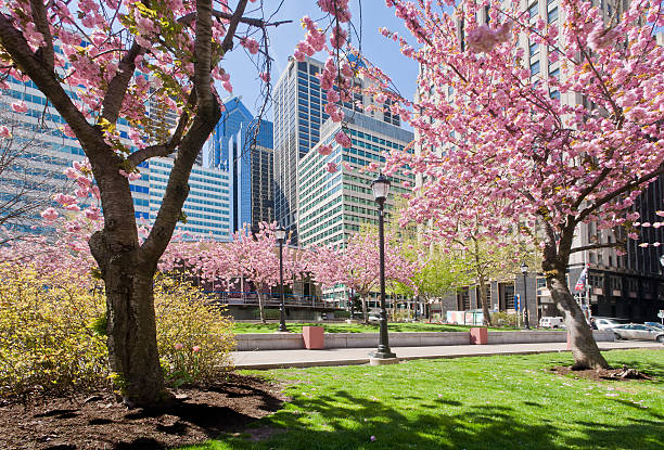 fairmount park und dem welcome center, in den frühling - john f kennedy center stock-fotos und bilder