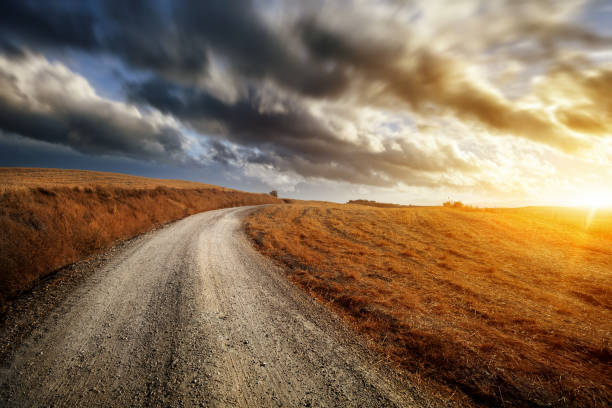 Country road through the golden fields of Tuscany on sunset
