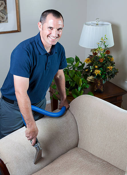 istock Professional Furniture Cleaning 181896067
