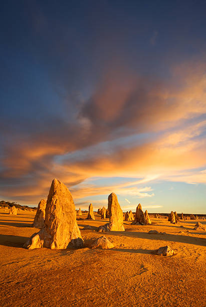 deserto de pinnacles austrália ocidental deserto australiano - nambung national park imagens e fotografias de stock
