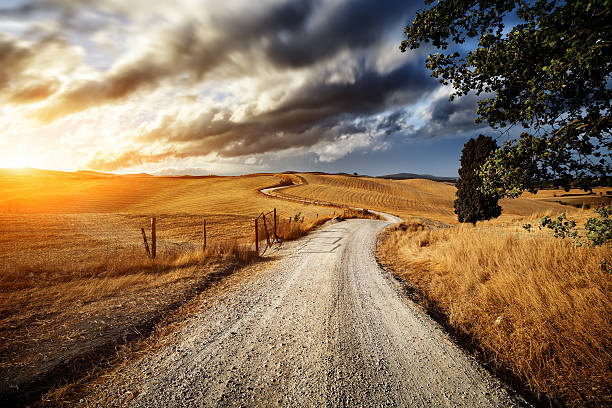 Country road through the fields of Tuscany Country road through the golden fields of Tuscany on sunset dirt road sunset stock pictures, royalty-free photos & images