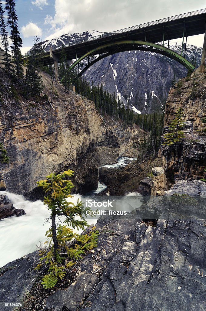 Река Норт-Саскачеван мост в горы - Стоковые фото Альберта роялти-фри