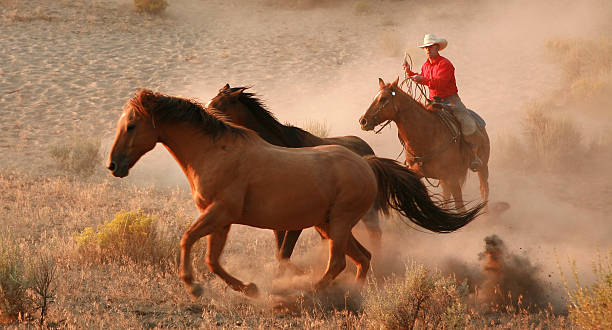 istock cowboys and wranglers 16 181896394