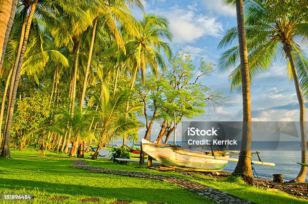 Strand In Bali Indonesien Mit Jukung Stockfoto und mehr Bilder von Asien - Asien, Bali, Baum