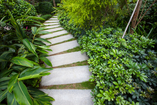 Stone walkway winding its way through tranquil garden