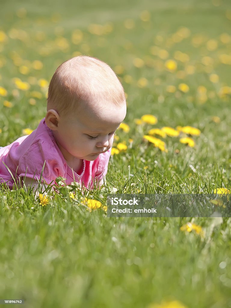 Niña en pasto - Foto de stock de 0-11 meses libre de derechos