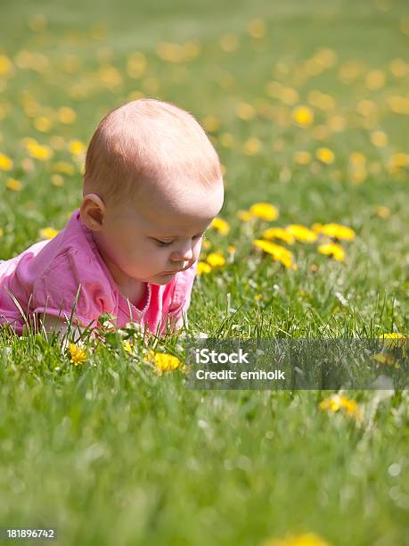 Baby Girl In Grass Stock Photo - Download Image Now - 0-11 Months, 2-5 Months, Babies Only