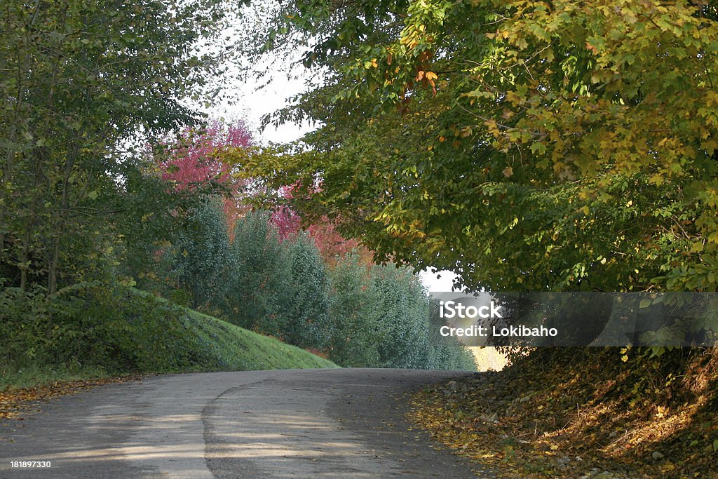 Outono Road - Foto de stock de Bend - Óregon royalty-free