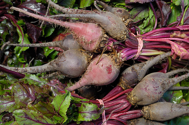istock Close-up Organic Assortment of Beets in Container 181897386