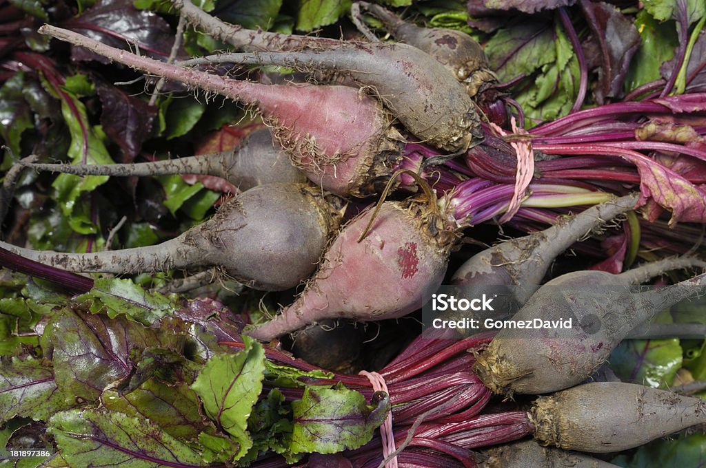 Close-up orgânico variedade de Beets no recipiente - Royalty-free Agricultura Foto de stock