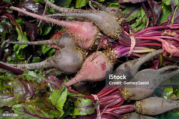 Closeup Orgânico Variedade De Beets No Recipiente - Fotografias de stock e mais imagens de Agricultura - Agricultura, Alimentação Saudável, Antioxidante