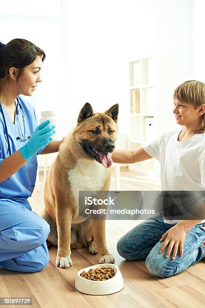 Vitamine Per Cane - Fotografie stock e altre immagini di Veterinario - Veterinario, Animale da compagnia, Ciotola del cane