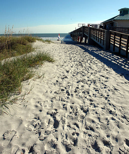 istock Side of Jacksonville Beach pier 181897845