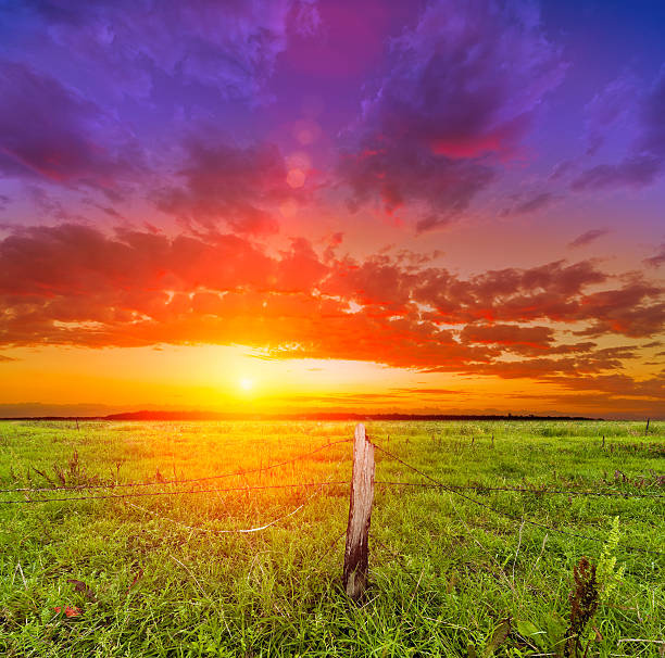 istock Orange sunrise over field 181898135