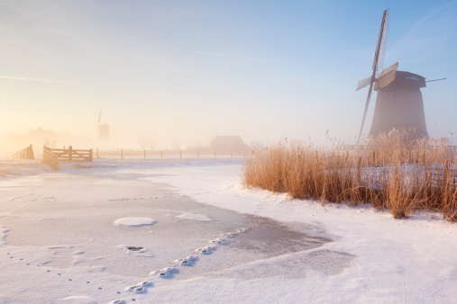 Traditional Dutch windmills on a beautiful frosty and foggy morning.