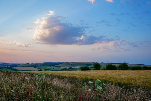 istock Evening view over grass farm fields with clouds in the sky 1818982774
