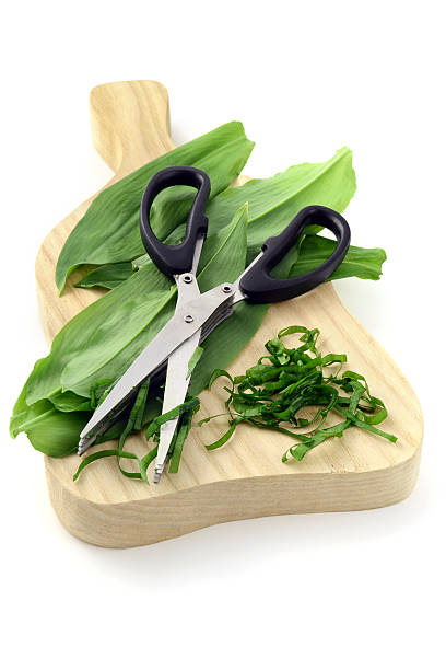 cutting with herb scissors wild garlic (Allium ursinum) cutting with herb scissors leaves of wild garlic (Allium ursinum) on wooden cutting board. zigeunerlauch stock pictures, royalty-free photos & images