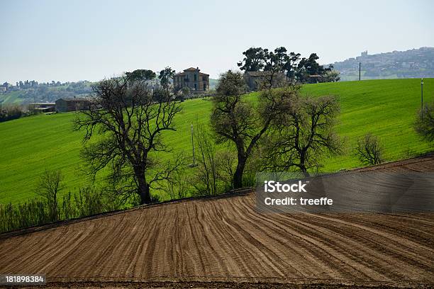 Gepflügtes Fieds Im Frühling Stockfoto und mehr Bilder von Anhöhe - Anhöhe, Baum, Braun